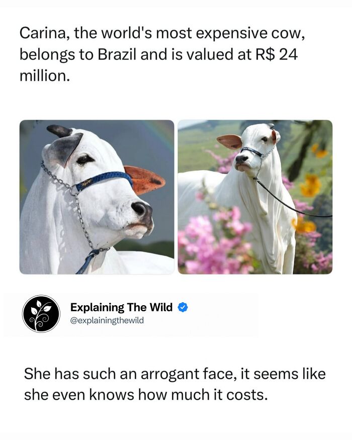 Let's Dive Into 68 Wild Facts and Pics That Will Blow Your Mind