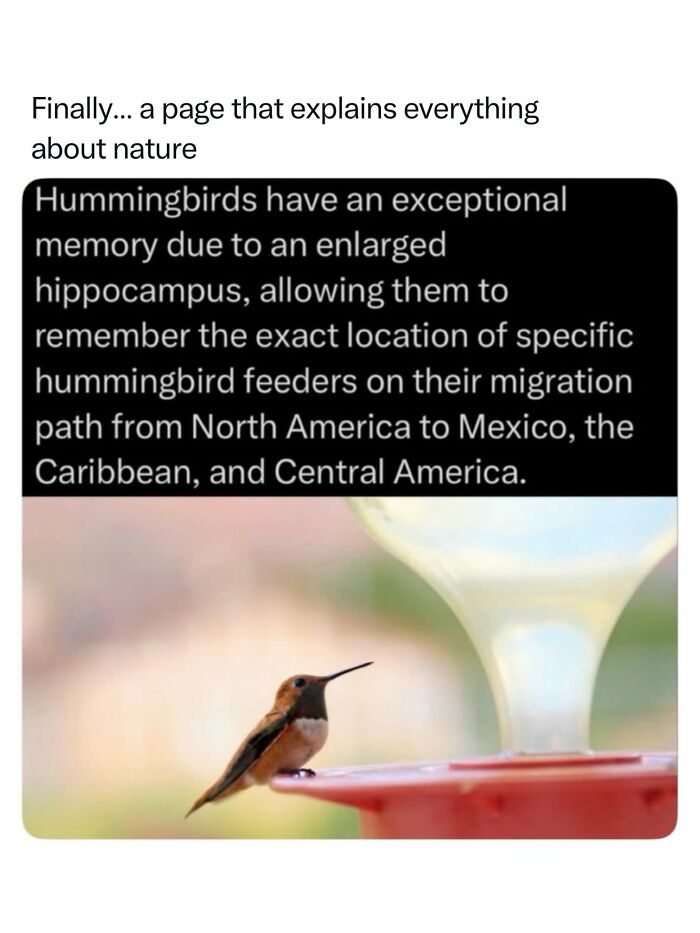 Let's Dive Into 68 Wild Facts and Pics That Will Blow Your Mind