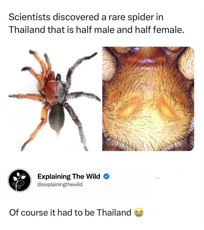 Let's Dive Into 68 Wild Facts and Pics That Will Blow Your Mind