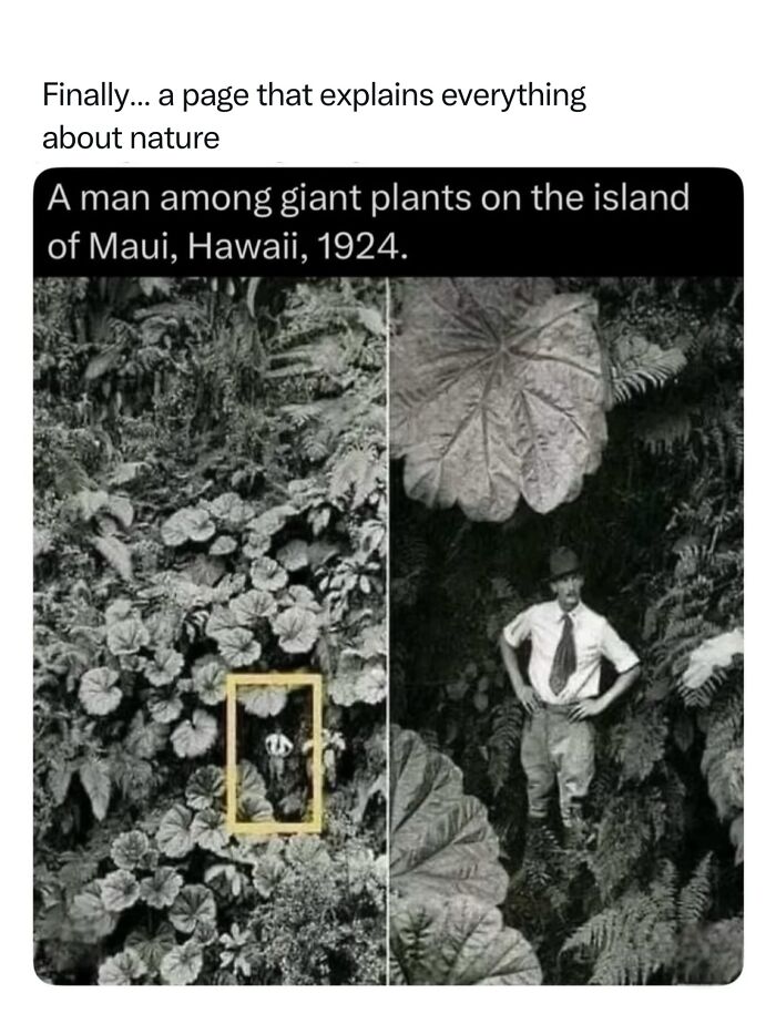 Let's Dive Into 68 Wild Facts and Pics That Will Blow Your Mind
