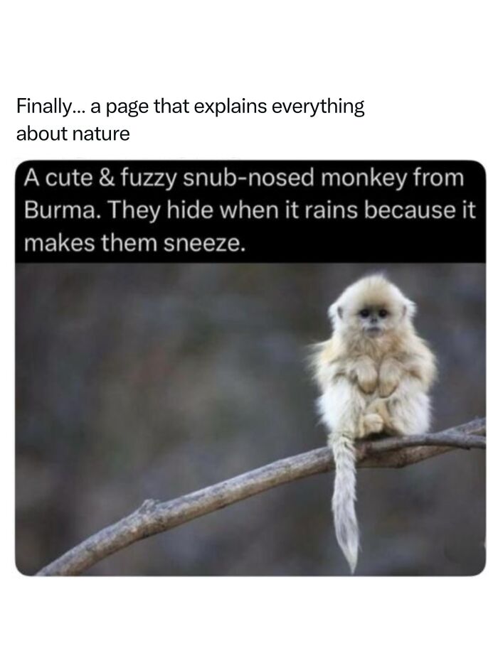 Let's Dive Into 68 Wild Facts and Pics That Will Blow Your Mind