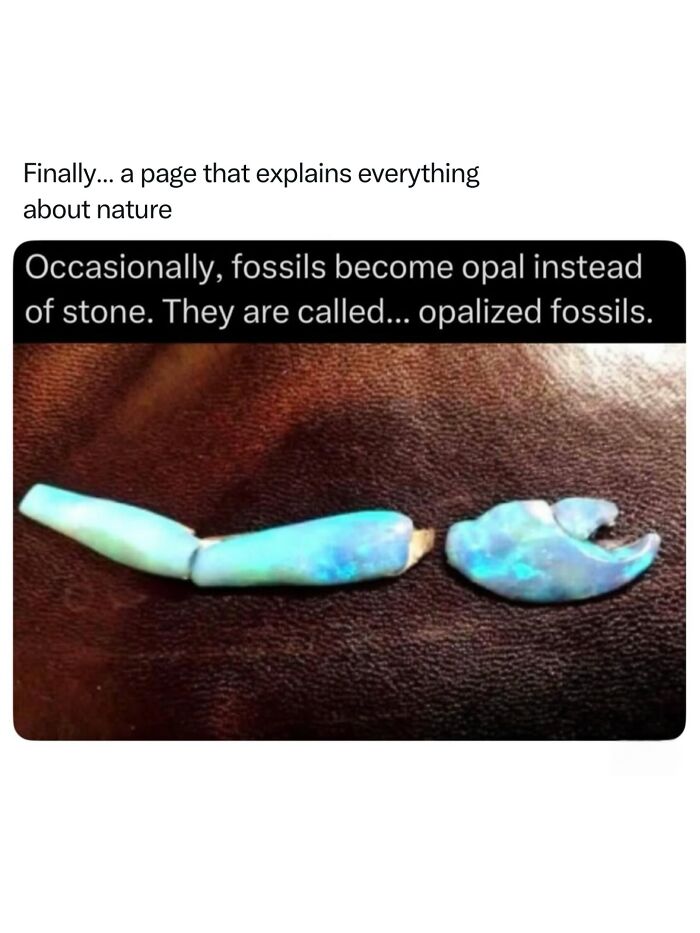Let's Dive Into 68 Wild Facts and Pics That Will Blow Your Mind