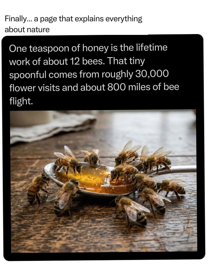 Let's Dive Into 68 Wild Facts and Pics That Will Blow Your Mind