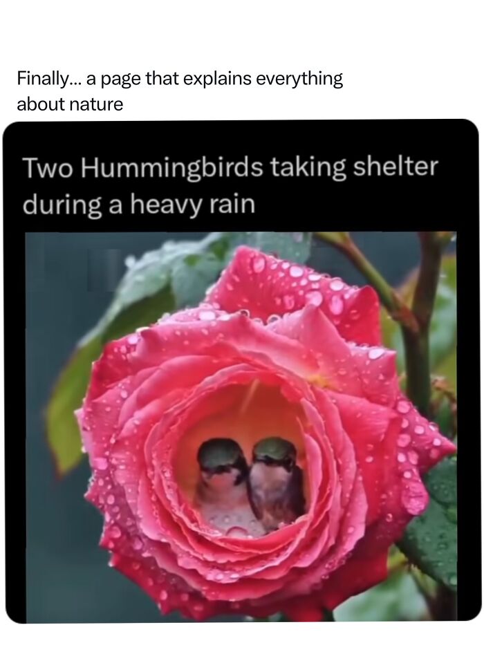 Let's Dive Into 68 Wild Facts and Pics That Will Blow Your Mind