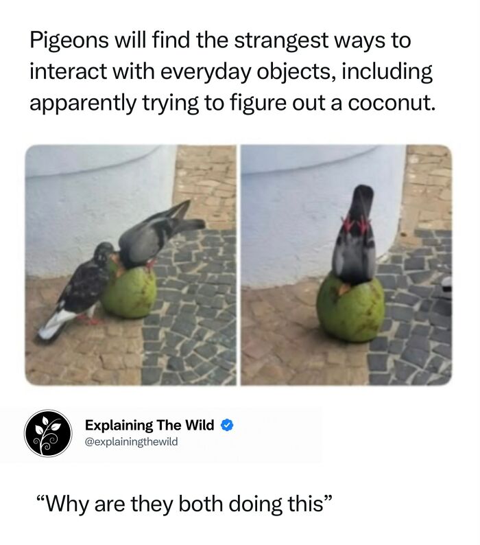 Let's Dive Into 68 Wild Facts and Pics That Will Blow Your Mind