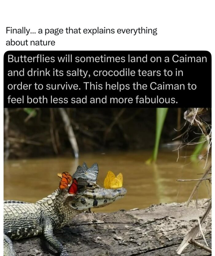 Let's Dive Into 68 Wild Facts and Pics That Will Blow Your Mind