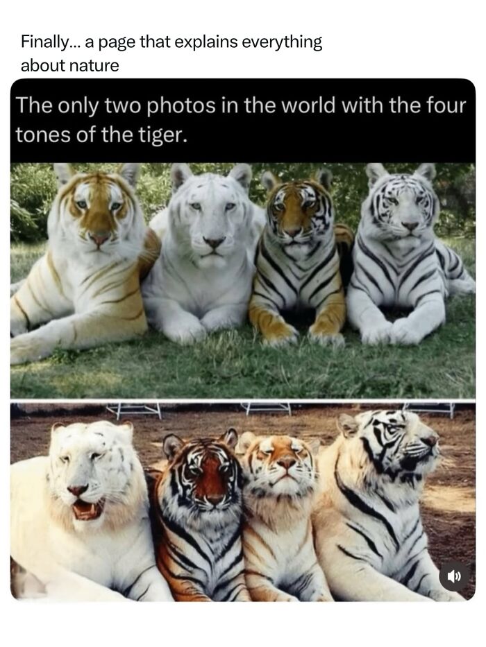 Let's Dive Into 68 Wild Facts and Pics That Will Blow Your Mind