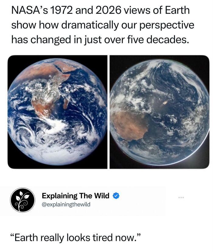 Let's Dive Into 68 Wild Facts and Pics That Will Blow Your Mind