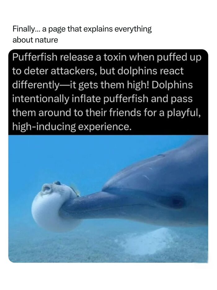 Let's Dive Into 68 Wild Facts and Pics That Will Blow Your Mind