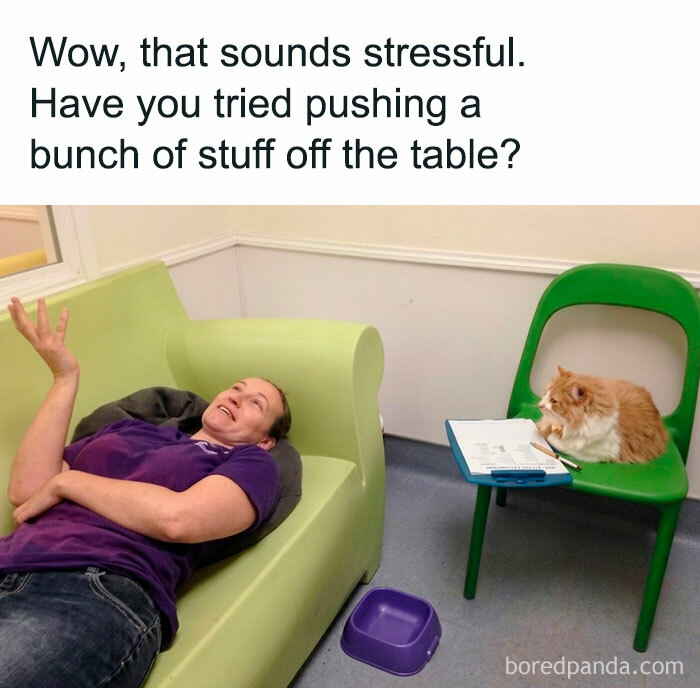Wait, They Actually Ranked These Hilarious Animal Memes?!