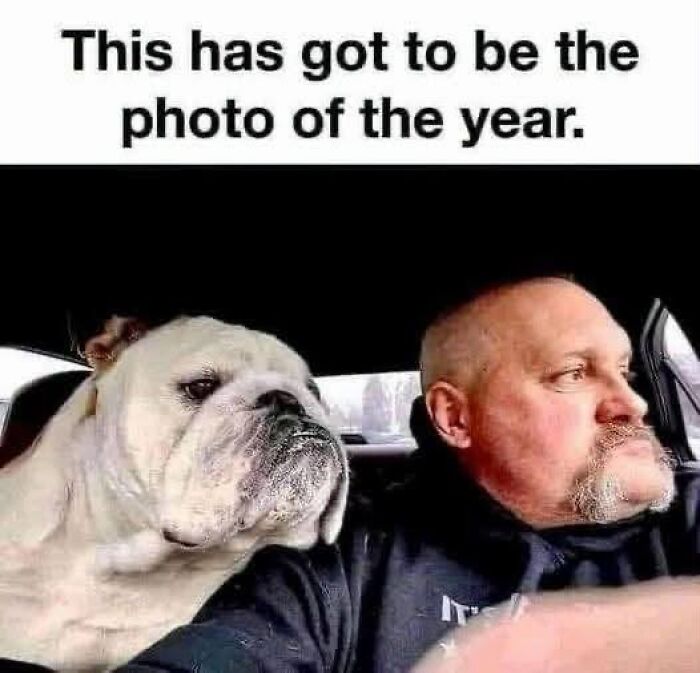 Wait, They Actually Ranked These Hilarious Animal Memes?!