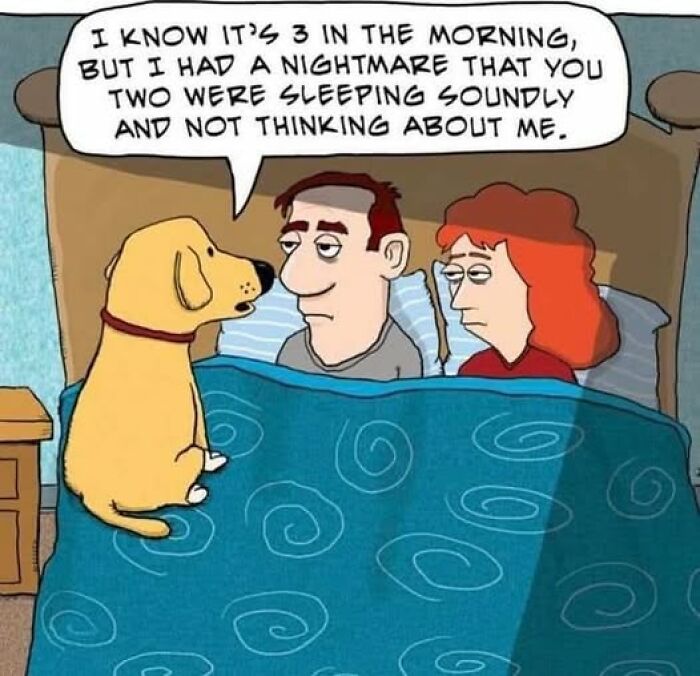 Wait, They Actually Ranked These Hilarious Animal Memes?!