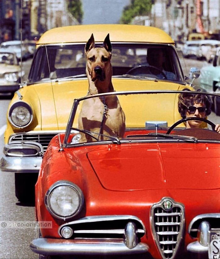 Whoa, They Added Color to These Old Photos and It’s Wild!