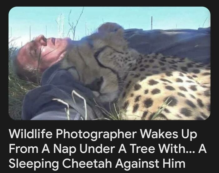 Wait, Why Are These Pics So Weird? A Wild Ride Through Chaotic Internet Madness