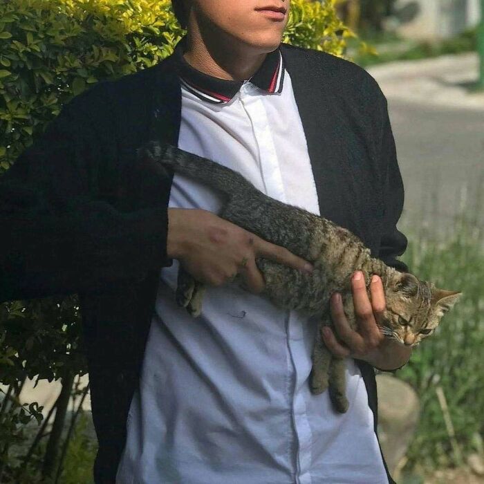Wait, Why Are These Pics So Weird? A Wild Ride Through Chaotic Internet Madness
