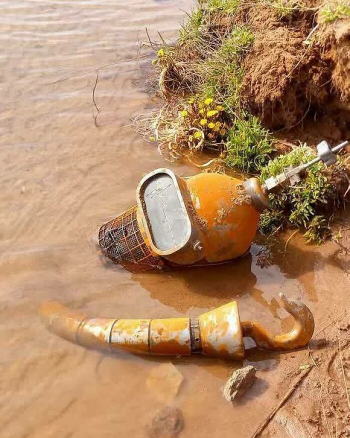 Wait, Why Are These Pics So Weird? A Wild Ride Through Chaotic Internet Madness