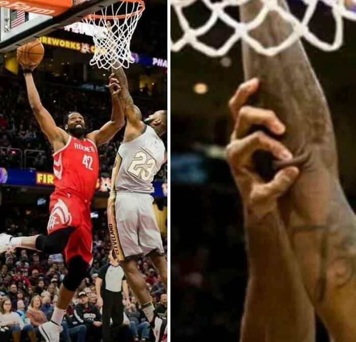 Wait, Why Are These Pics So Weird? A Wild Ride Through Chaotic Internet Madness