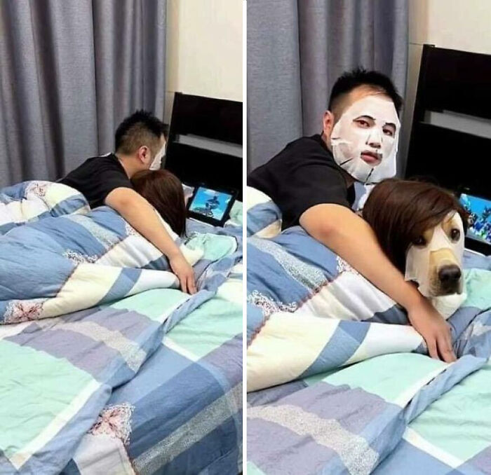 Wait, Why Are These Pics So Weird? A Wild Ride Through Chaotic Internet Madness