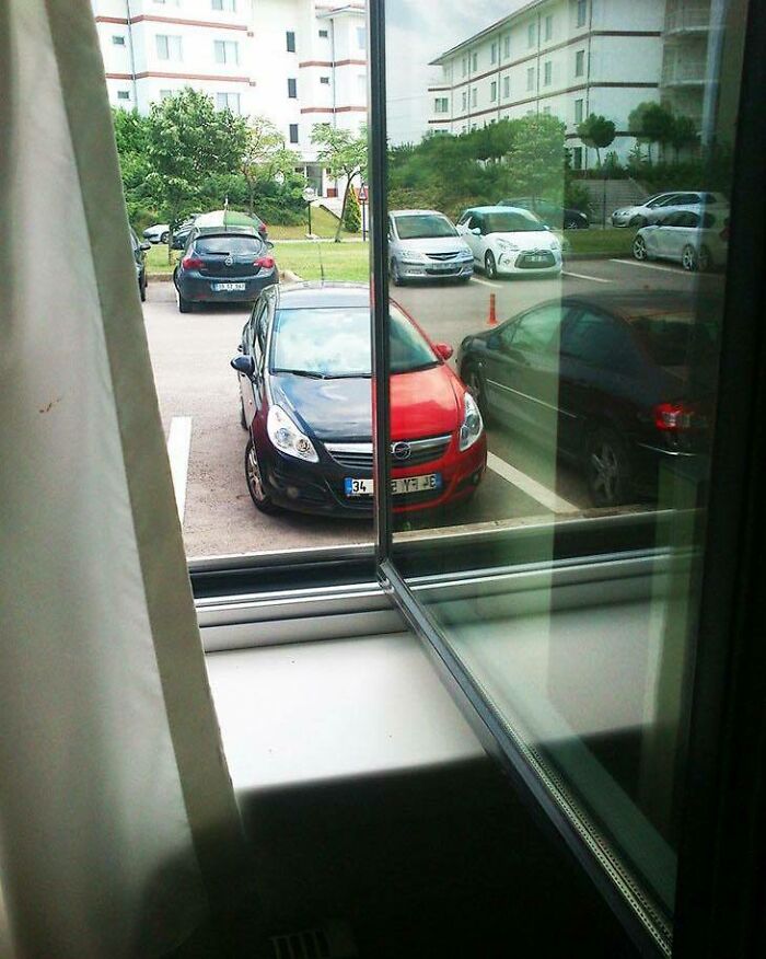 Wait, Why Are These Pics So Weird? A Wild Ride Through Chaotic Internet Madness