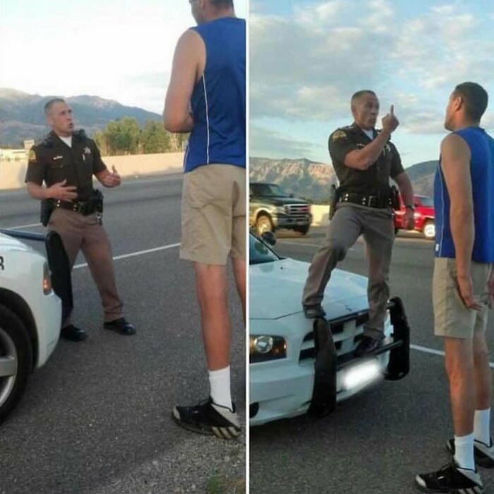 Wait, Why Are These Pics So Weird? A Wild Ride Through Chaotic Internet Madness