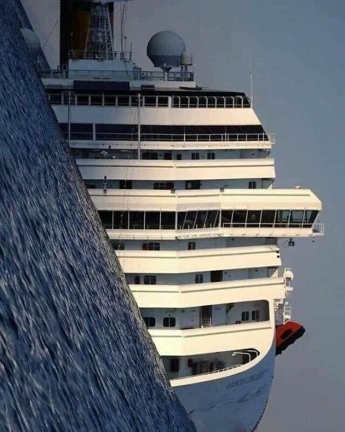 Wait, Why Are These Pics So Weird? A Wild Ride Through Chaotic Internet Madness