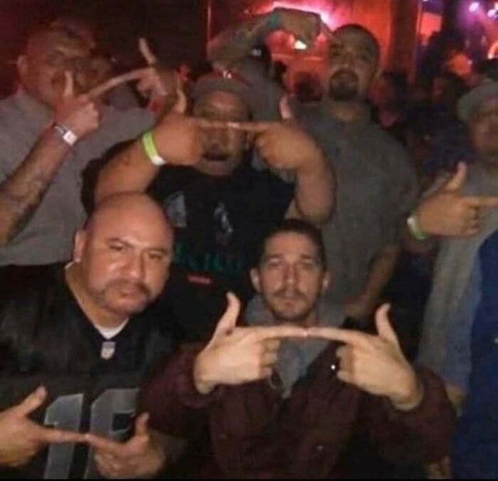 Wait, Why Are These Pics So Weird? A Wild Ride Through Chaotic Internet Madness