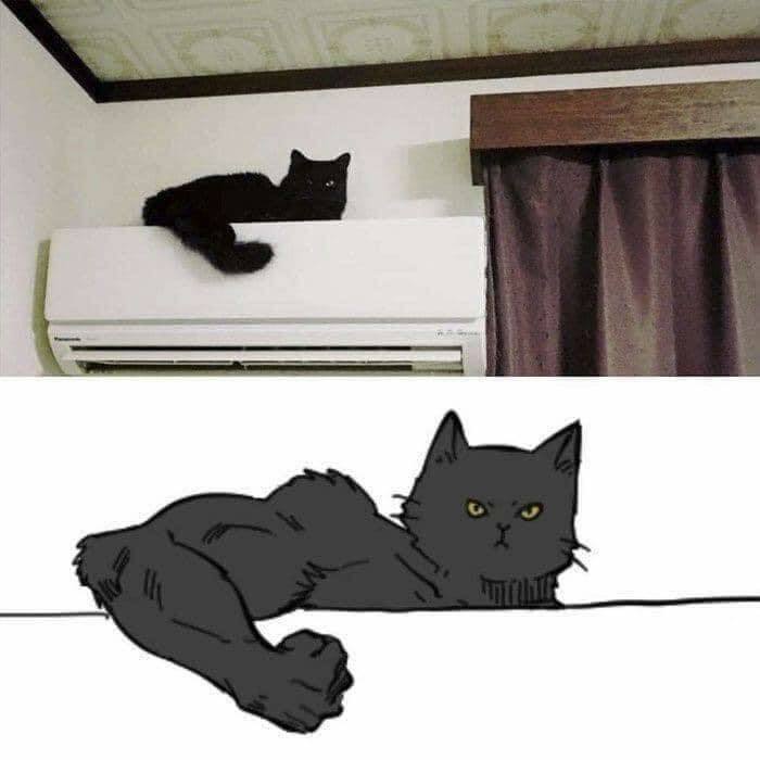 Wait, Why Are These Pics So Weird? A Wild Ride Through Chaotic Internet Madness