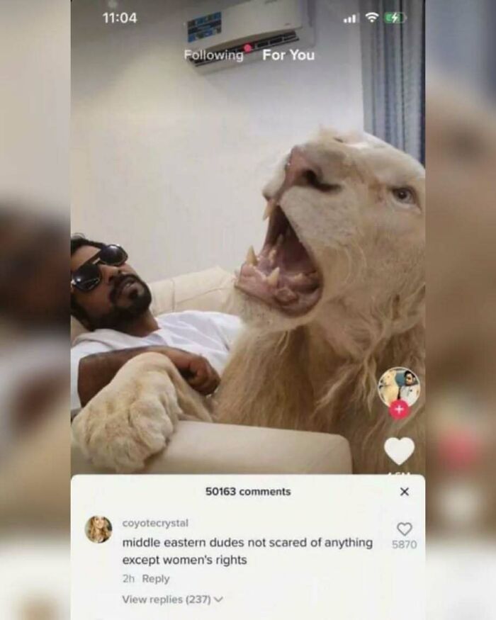Wait, They Really Said That?! 48 Hilarious Internet Comebacks That Totally Stole the Show
