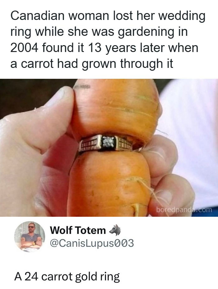 Wait, They Really Said That?! 48 Hilarious Internet Comebacks That Totally Stole the Show