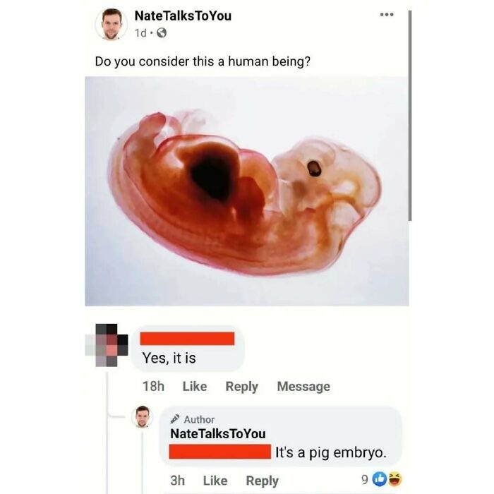 Wait, They Really Said That?! 48 Hilarious Internet Comebacks That Totally Stole the Show