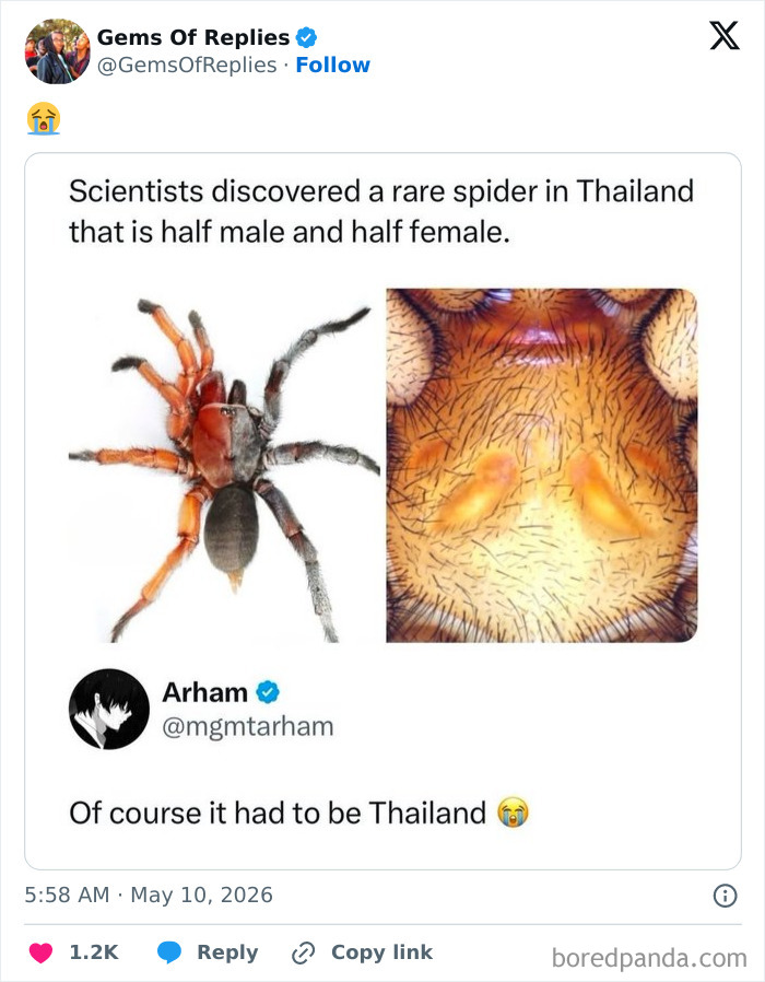 Wait, They Really Said That?! 48 Hilarious Internet Comebacks That Totally Stole the Show