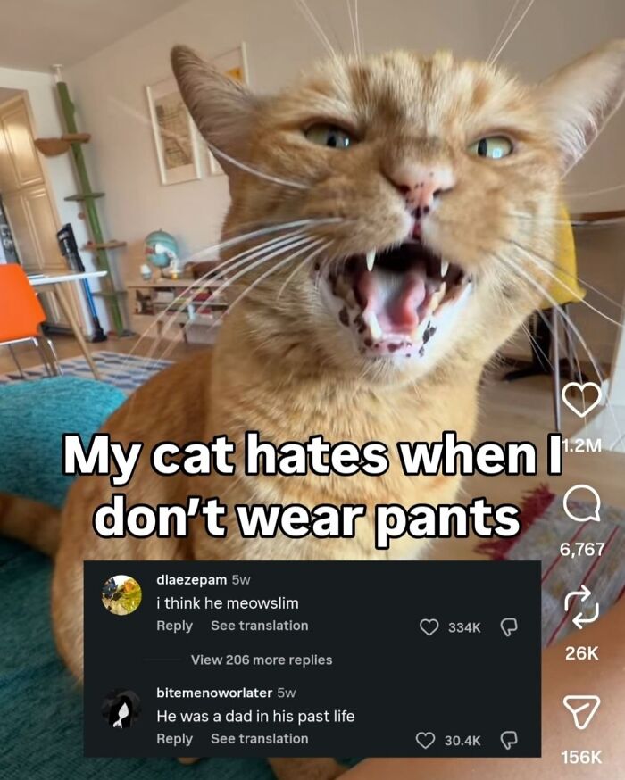 Wait, They Really Said That?! 48 Hilarious Internet Comebacks That Totally Stole the Show