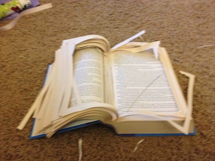 Made A Hiding Spot Inside A Book! Kinda.