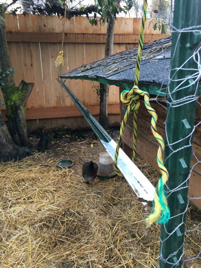 Installed A Totally ‘Functional’ Gutter For My Chicken Coop