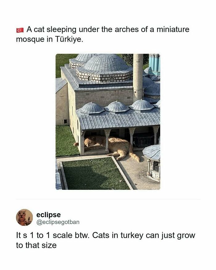 30 Ridiculously Funny Memes That’ll Totally Upgrade Your Scroll Time