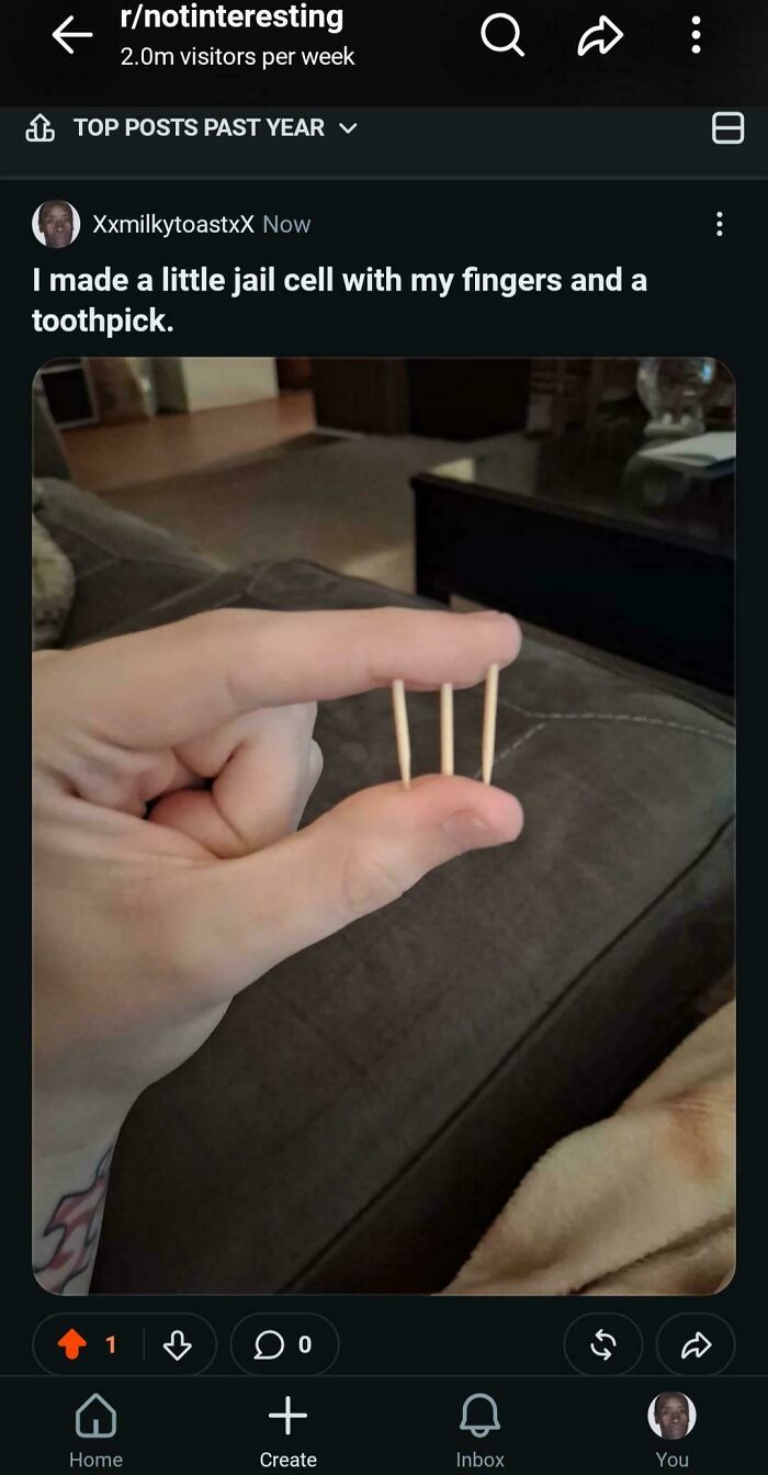 I Have The Top Post Of The Year On r/notinteresting!