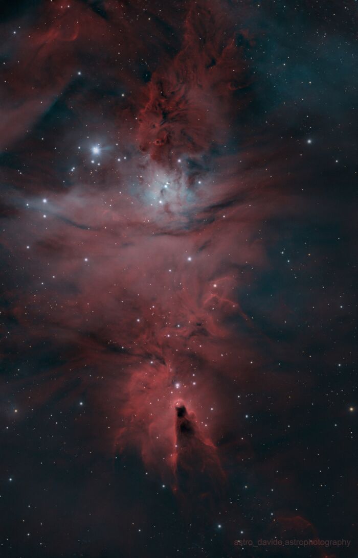 Cone Nebula & Christmas Tree Cluster: Space’s Holiday Spirit
