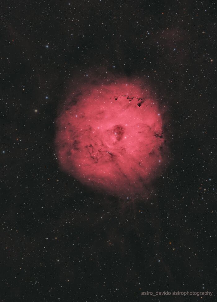 Little Rosette Nebula: The Mini Marvel