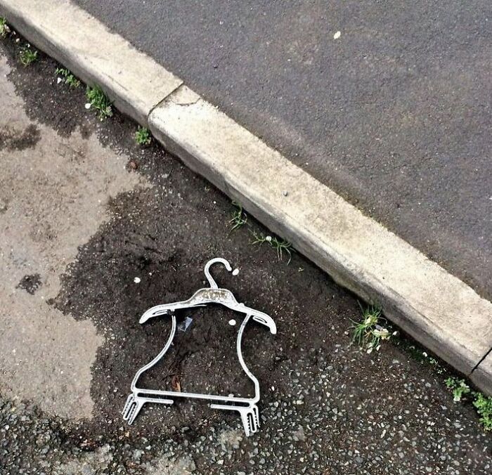 Found a Penguin Skeleton. RIP, Little Buddy