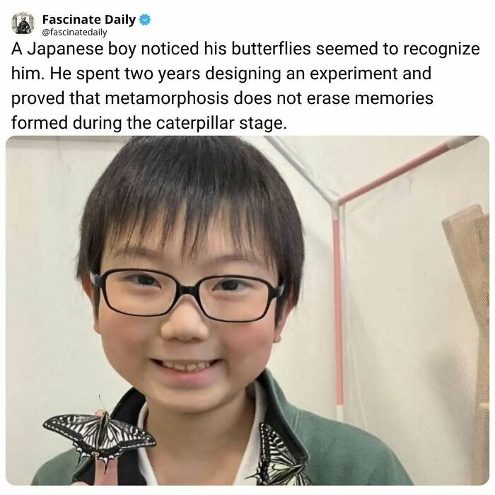 68 Mind-Blowing Facts That’ll Make You Go "Wait, What?!"