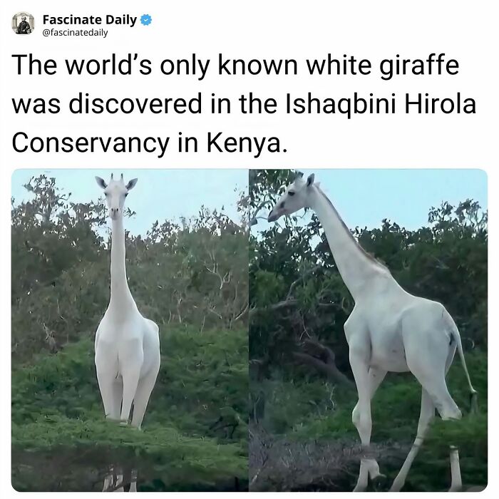 68 Mind-Blowing Facts That’ll Make You Go "Wait, What?!"