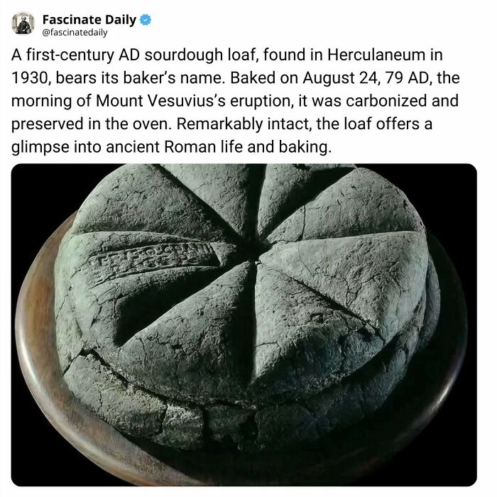 68 Mind-Blowing Facts That’ll Make You Go "Wait, What?!"