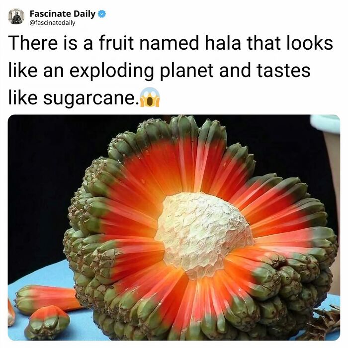 68 Mind-Blowing Facts That’ll Make You Go "Wait, What?!"