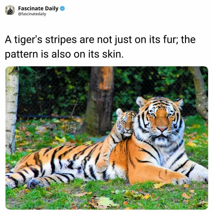 68 Mind-Blowing Facts That’ll Make You Go "Wait, What?!"