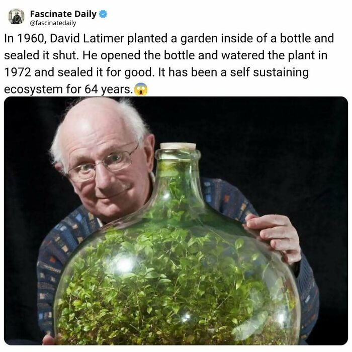 68 Mind-Blowing Facts That’ll Make You Go "Wait, What?!"