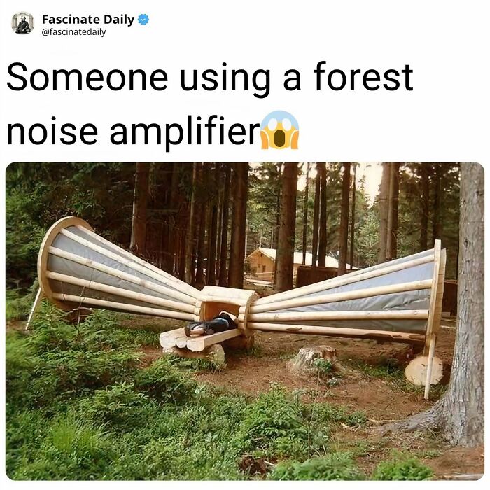 68 Mind-Blowing Facts That’ll Make You Go "Wait, What?!"