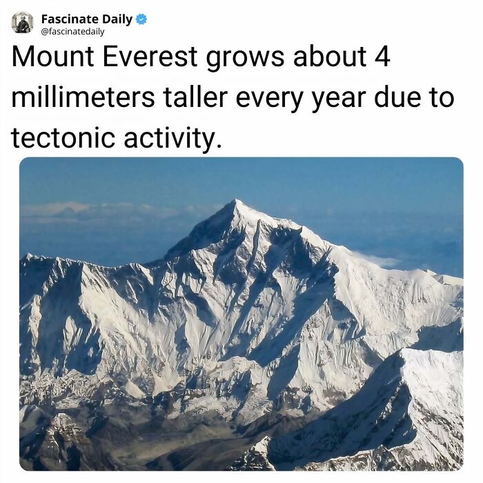 68 Mind-Blowing Facts That’ll Make You Go "Wait, What?!"