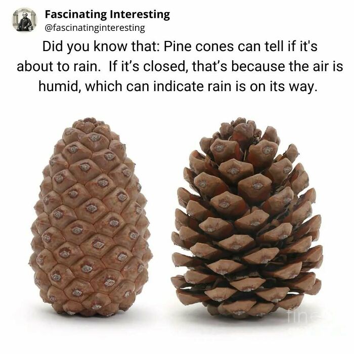 68 Mind-Blowing Facts That’ll Make You Go "Wait, What?!"