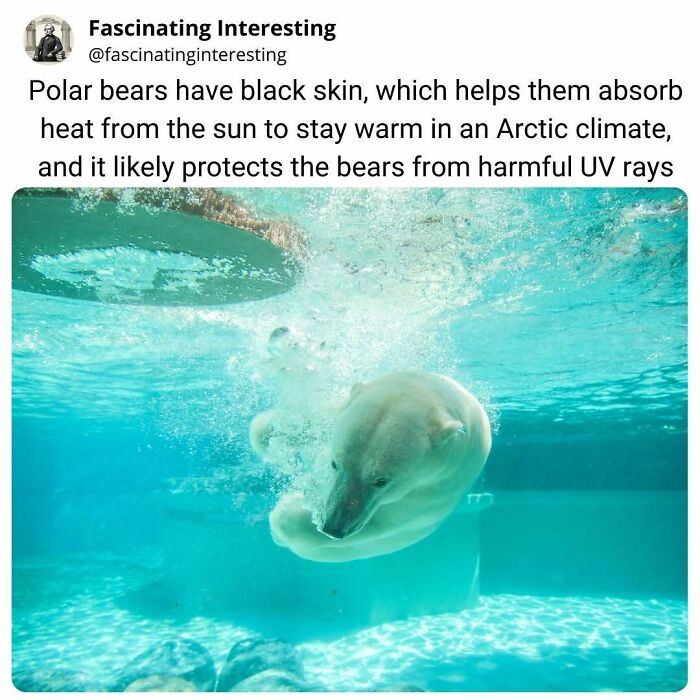 68 Mind-Blowing Facts That’ll Make You Go "Wait, What?!"