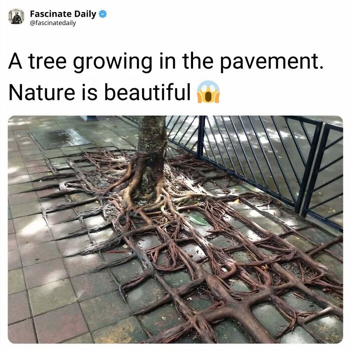68 Mind-Blowing Facts That’ll Make You Go "Wait, What?!"